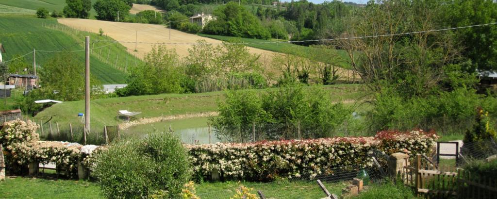 La Pietra Rara Montone (Umbria)